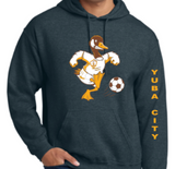 YC Girls Soccer hoodies-adult sizes