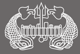 Deep Submergence Decal